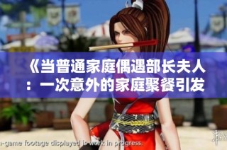《当普通家庭偶遇部长夫人：一次意外的家庭聚餐引发的故事》