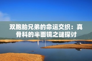 双胞胎兄弟的命运交织：真骨科的半面镜之谜探讨