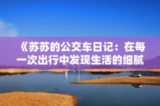 《苏苏的公交车日记：在每一次出行中发现生活的细腻与温暖》