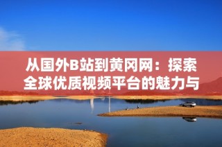 从国外B站到黄冈网：探索全球优质视频平台的魅力与特色
