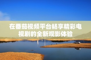 在番茄视频平台畅享精彩电视剧的全新观影体验