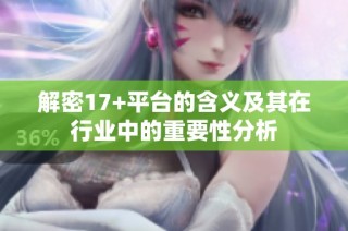 解密17+平台的含义及其在行业中的重要性分析
