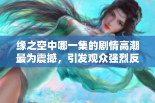 缘之空中哪一集的剧情高潮最为震撼，引发观众强烈反响呢