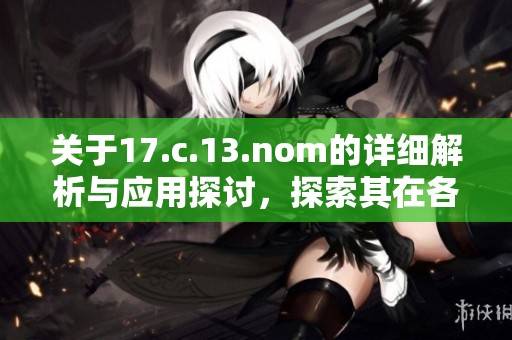关于17.c.13.nom的详细解析与应用探讨，探索其在各领域的影响及发展潜力