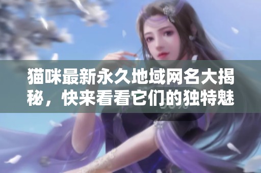 猫咪最新永久地域网名大揭秘，快来看看它们的独特魅力与意义