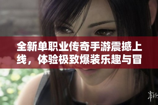 全新单职业传奇手游震撼上线，体验极致爆装乐趣与冒险之旅