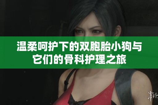 温柔呵护下的双胞胎小狗与它们的骨科护理之旅