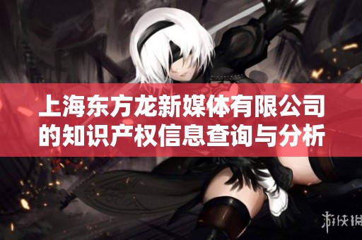 上海东方龙新媒体有限公司的知识产权信息查询与分析指南