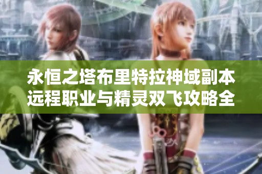 永恒之塔布里特拉神域副本远程职业与精灵双飞攻略全解析