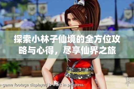 探索小林子仙境的全方位攻略与心得，尽享仙界之旅
