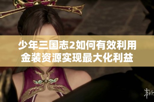 少年三国志2如何有效利用金装资源实现最大化利益