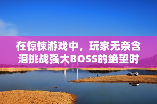 在惊悚游戏中，玩家无奈含泪挑战强大BOSS的绝望时刻