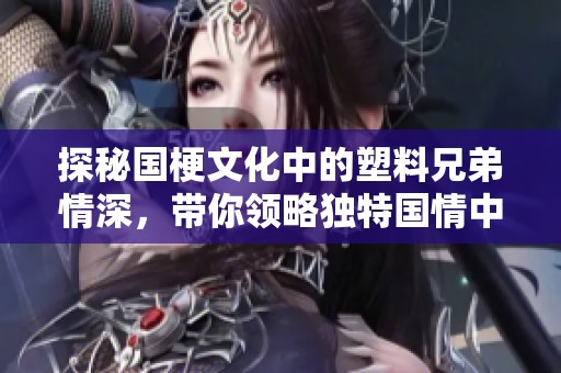 探秘国梗文化中的塑料兄弟情深，带你领略独特国情中的真情厚谊