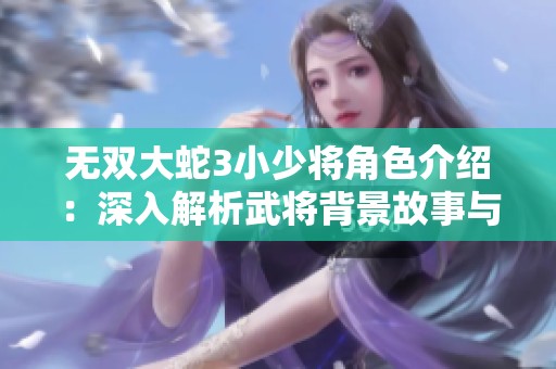 无双大蛇3小少将角色介绍：深入解析武将背景故事与特点