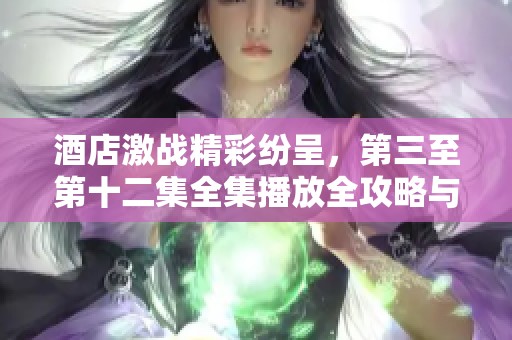 酒店激战精彩纷呈，第三至第十二集全集播放全攻略与精彩回顾