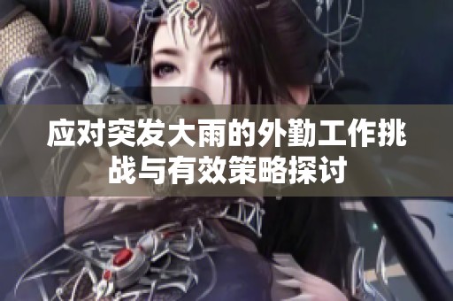 应对突发大雨的外勤工作挑战与有效策略探讨