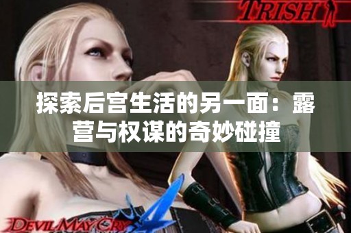 探索后宫生活的另一面：露营与权谋的奇妙碰撞
