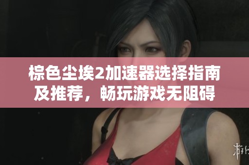 棕色尘埃2加速器选择指南及推荐，畅玩游戏无阻碍
