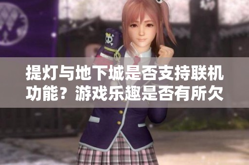 提灯与地下城是否支持联机功能？游戏乐趣是否有所欠缺？