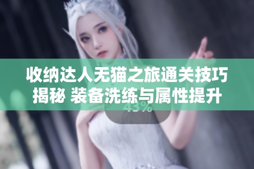 收纳达人无猫之旅通关技巧揭秘 装备洗练与属性提升全攻略