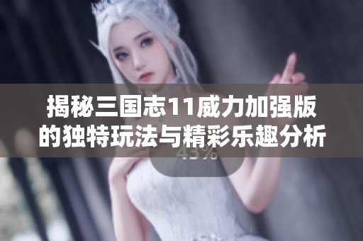 揭秘三国志11威力加强版的独特玩法与精彩乐趣分析