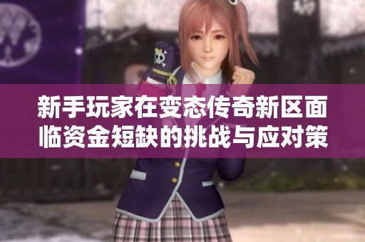 新手玩家在变态传奇新区面临资金短缺的挑战与应对策略