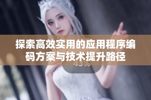 探索高效实用的应用程序编码方案与技术提升路径