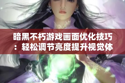 暗黑不朽游戏画面优化技巧：轻松调节亮度提升视觉体验