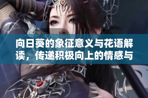 向日葵的象征意义与花语解读，传递积极向上的情感与希望