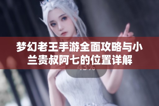 梦幻老王手游全面攻略与小兰贵叔阿七的位置详解