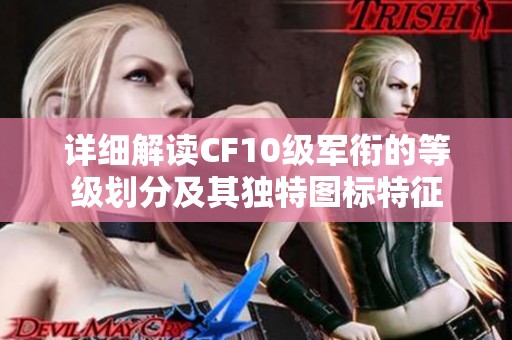 详细解读CF10级军衔的等级划分及其独特图标特征