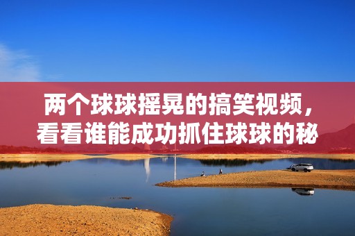 两个球球摇晃的搞笑视频，看看谁能成功抓住球球的秘密技巧