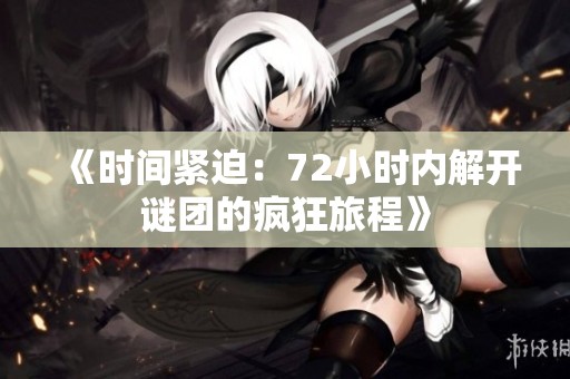 《时间紧迫：72小时内解开谜团的疯狂旅程》