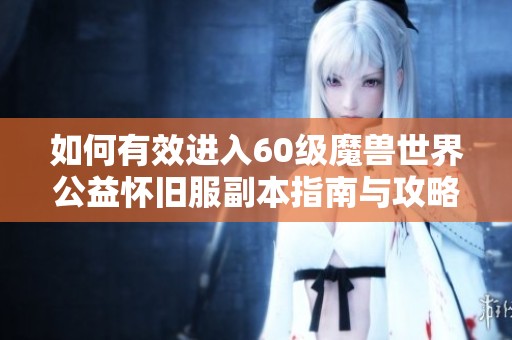如何有效进入60级魔兽世界公益怀旧服副本指南与攻略