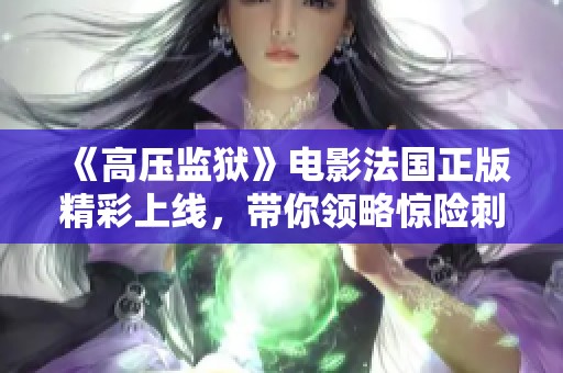 《高压监狱》电影法国正版精彩上线，带你领略惊险刺激的监狱故事