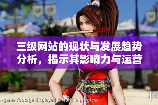 三级网站的现状与发展趋势分析，揭示其影响力与运营挑战