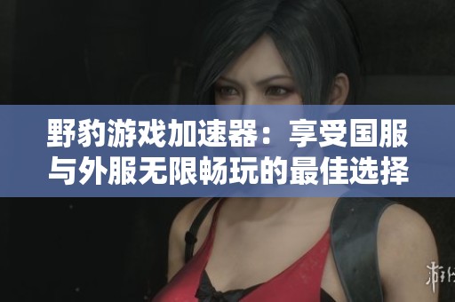 野豹游戏加速器：享受国服与外服无限畅玩的最佳选择