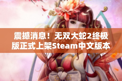 震撼消息！无双大蛇2终极版正式上架Steam中文版本引发热潮