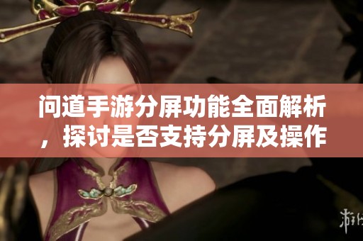 问道手游分屏功能全面解析，探讨是否支持分屏及操作步骤详解