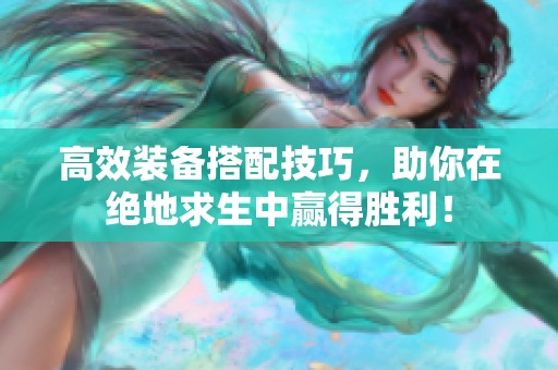 高效装备搭配技巧，助你在绝地求生中赢得胜利！