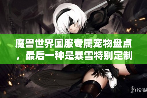 魔兽世界国服专属宠物盘点，最后一种是暴雪特别定制版