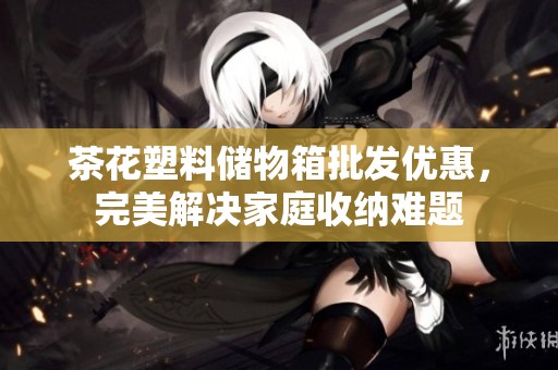 茶花塑料储物箱批发优惠，完美解决家庭收纳难题