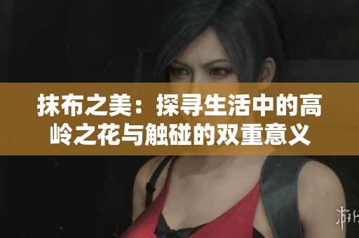 抹布之美：探寻生活中的高岭之花与触碰的双重意义