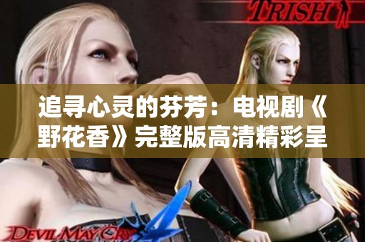 追寻心灵的芬芳：电视剧《野花香》完整版高清精彩呈现
