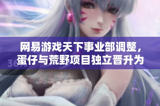 网易游戏天下事业部调整，蛋仔与荒野项目独立晋升为新事业部