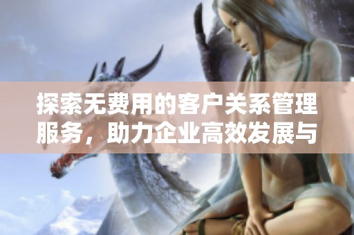 探索无费用的客户关系管理服务，助力企业高效发展与客户维护