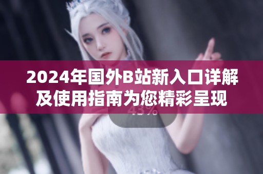 2024年国外B站新入口详解及使用指南为您精彩呈现