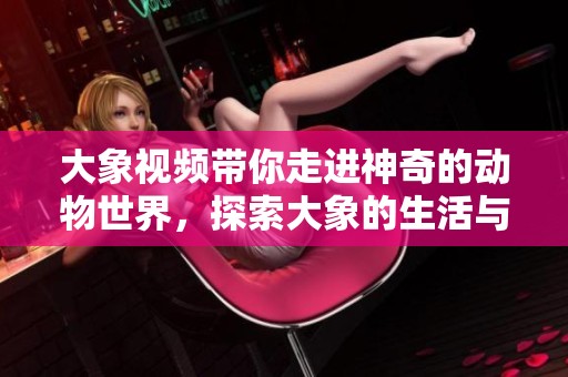 大象视频带你走进神奇的动物世界，探索大象的生活与习性