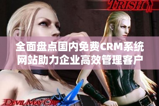 全面盘点国内免费CRM系统网站助力企业高效管理客户关系