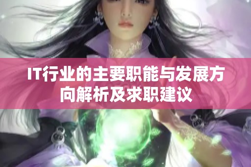 IT行业的主要职能与发展方向解析及求职建议